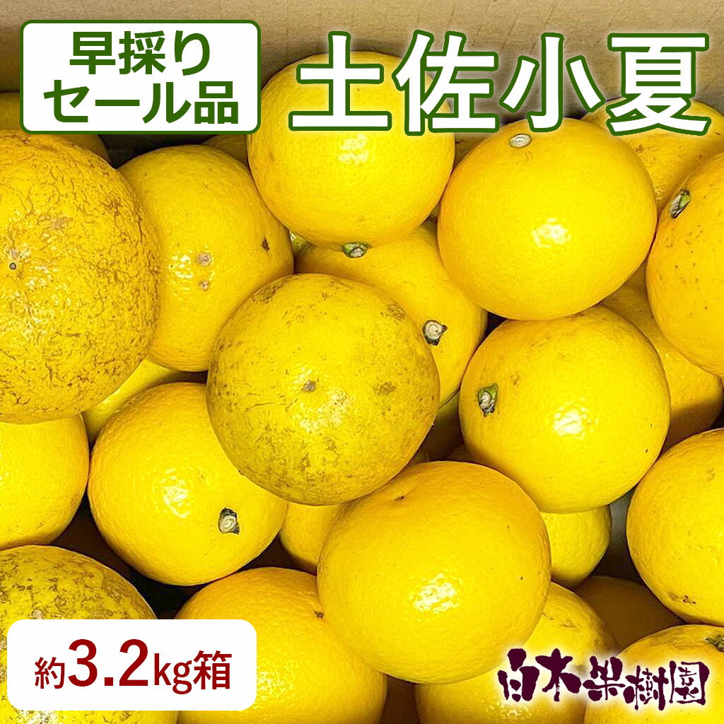 【セール品】【訳あり】 早採りわけあり小夏 約3.2kg【ご自宅用 高知 特産 土産 フルーツ 日向夏 ニュ..