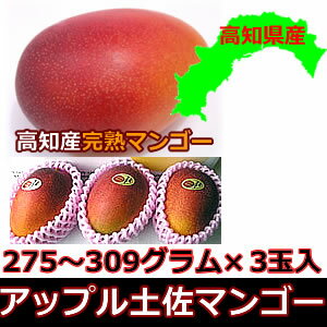 【母の日】アップル土佐マンゴー3個入【父の日】高知県産【お中元】【暑中 残暑見舞い】【帰省土産】【楽ギフ_のし宛書】【楽ギフ_メッセ入力】
