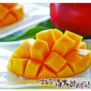 トロピカルフルーツの王様　高知県産最高級土佐アップルマンゴー　3Lサイズ2個入り　桐箱入り糖度16度以上の最高級品