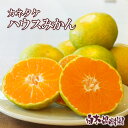 【夏ギフト】【暑中見舞】【残暑見舞】土佐市産 カネタケ温室温州みかんS〜Mサイズ 約5キロ化粧箱(約50〜65個入)