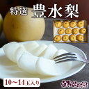 高知県産特選秀品 豊水梨 約5キロ箱 10~14玉入り 【秋の味覚】【秋の果物】【楽ギフト_包装】【楽ギフト_のし宛書】【楽ギフト_メッセ入力】