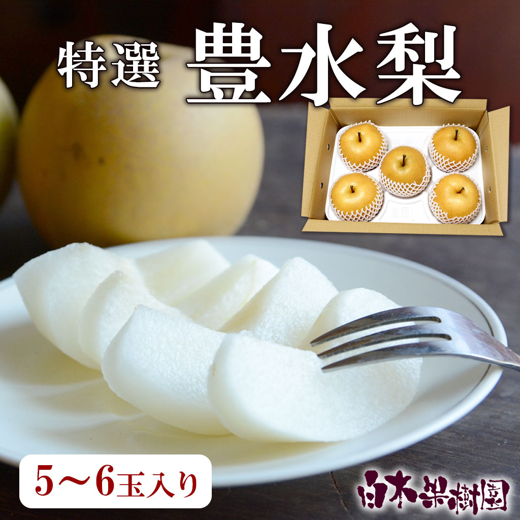 高知県産特選秀品 豊水梨　約2キロ箱　中・大玉5〜6玉入り【秋の味覚】【秋の果物】【楽ギフト_包装】【楽ギフト_のし宛書】【楽ギフト..