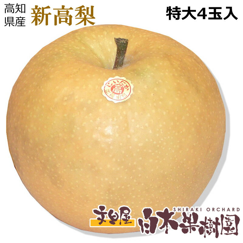 【高知産】新高梨1個約1キロ特大梨4個入箱　【秋の味覚】【秋の果物】【楽ギフト_包装】【楽ギフト_のし宛書】【楽ギフト_メッセ入力】のサムネイル