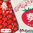 【クール送料込】高知産 奏トマト 約800g 12~16個入り【ギフト】【 プレゼント 】【お取り寄せ】