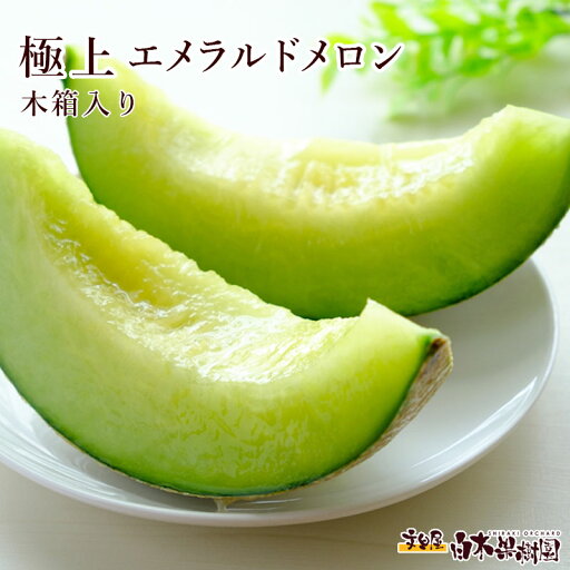 <早割>6月10日迄のご注文で \ 5%OFF/【送料無料】【夏ギフト】【お中元】【高知県産】極上エメラルドメロン1個入り化粧箱【お中元 夏ギフト お歳暮 お年賀 冬ギフト 粗品 引き出物 お供え お返し プレゼント お礼】 <早割>6月10日迄のご注文で \ 5%OFF/【送料無料】【夏ギフト】【お中元】【高知県産】極上エメラルドメロン1個入り化粧箱【お中元 夏ギフト お歳暮 お年賀 冬ギフト 粗品 引き出物 お供え お返し プレゼント お礼】