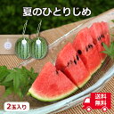 【送料無料】【夏ギフト お中元】夏の小玉アンテナスイカ 2玉ギフトセット 夏のひとりじめ【自分ご褒美】【プレゼント】【お見舞い】【お供 お盆】【のし・包装対象外...