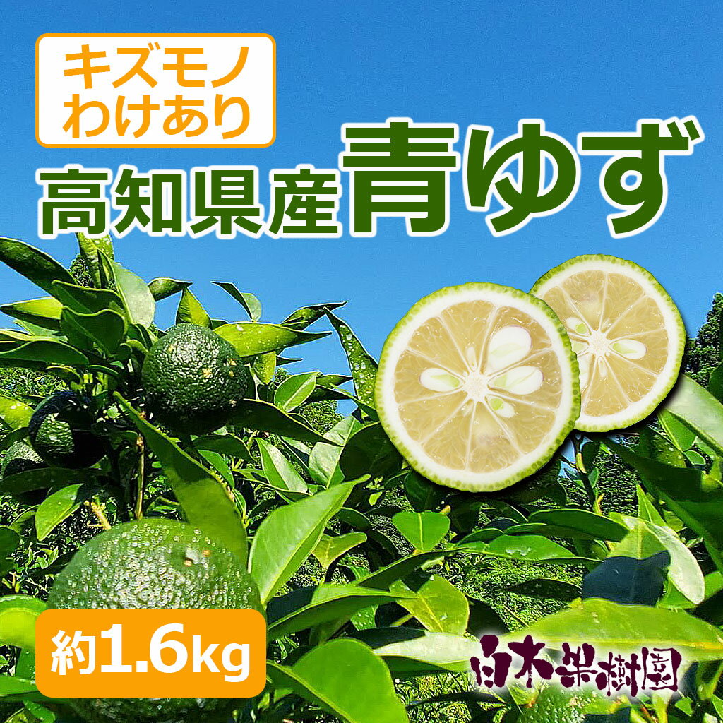 【数量限定】高知産県産青ゆず 約1.6キロ　青柚子　国産　わけあり　キズモノ【9月中旬発送開始】【ご予約受付中】のサムネイル