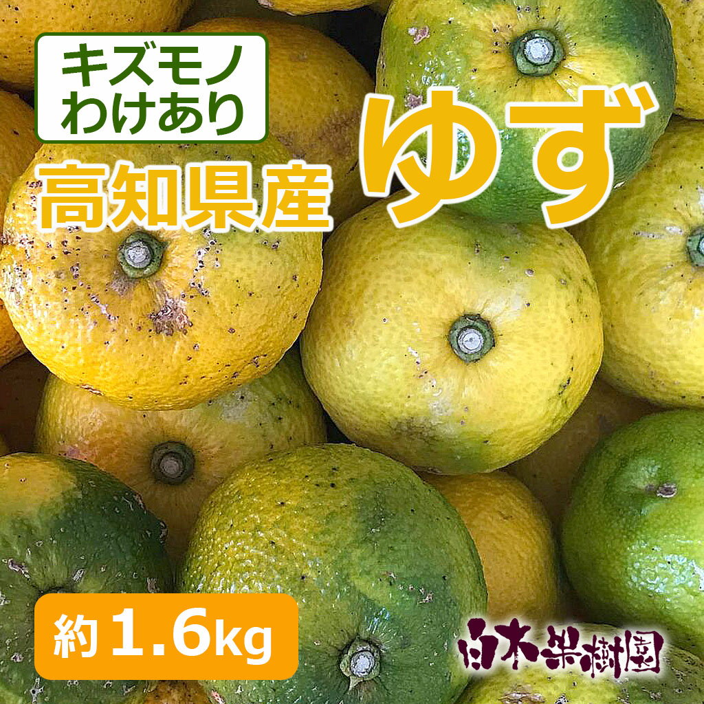 【数量限定】高知産県産ゆず 約1.6キロ　柚子　国産　わけあり　キズモノ