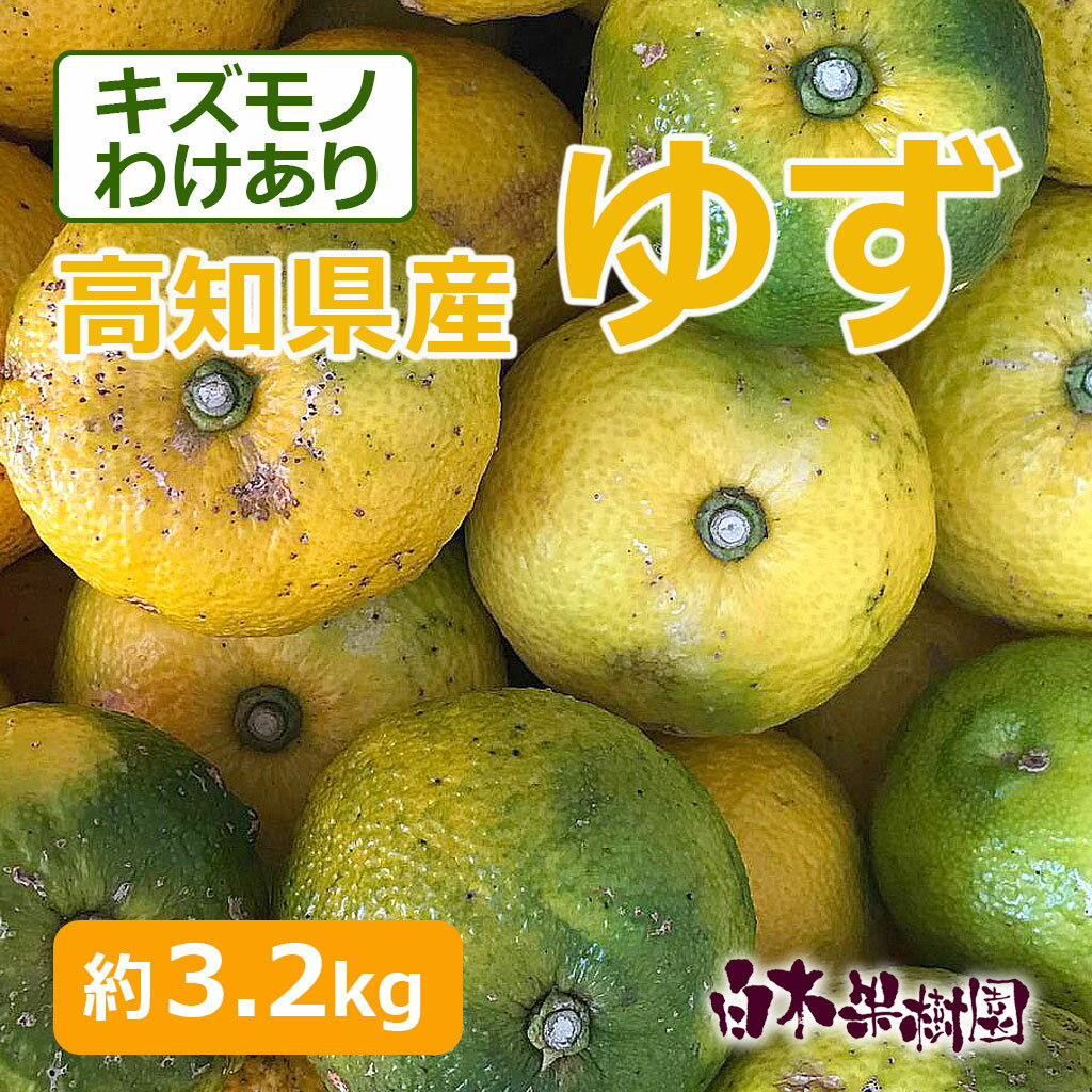 【数量限定】高知産県産ゆず 約3.2キロ　柚子　国産　わけあり　キズモノ