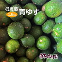 【減農薬】高知産県産青ゆず 約1.6キロ 青柚子 国産 わけあり キズモノ【8月下旬発送開始】【柚子胡椒】【数量限定】