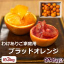 【送料無料】【わけあり】【セール】【数量限定】【B級品】白木果樹園産 ブラッドオレンジ 約3kg 国産 ポストハーベスト不使用【在庫限り】