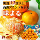 <予約>【訳あり】味まるみかん2Sサイズ 約5kg 最低糖度12度保証 【送料無料】【セール】【こつぶちゃん】【長崎 西海 お取り寄せ フルーツ みかん 果物】