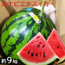 【送料無料】【夏ギフト】【お中元】【高知県産】ルナピエナスイカ 大玉1玉 約9〜10kg【すいか お中元 夏ギフト お供え プレゼント お礼】