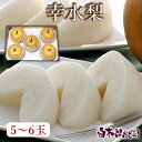 【クール便】高知県産 特選秀品 幸水梨もしくは凛夏・秋水梨 5~6玉入り