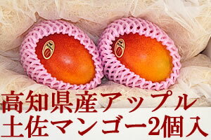 【母の日】高知県産アップル土佐マンゴーわけありご家庭用2個入【父の日】【お中元】【暑中 残暑見舞い】【帰省土産】【楽ギフ_のし宛書】【楽ギフ_メッセ入力】