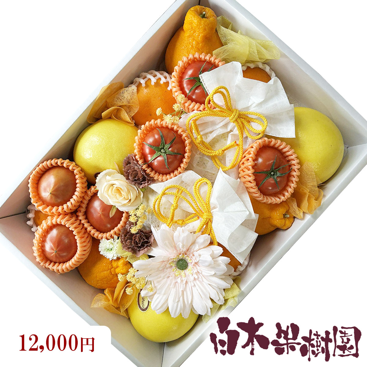 お客様のご希望に合わせて詰め合わせフルーツギフトを承ります。 ★おまかせでご希望の方は、お手数ですが備考欄へ 　「おまかせ」 とご記載下さい。　 おまかせの場合には、お客様に代わり専属のスタッフが最も良い状態のものを選び抜き、見た目にもこだわり喜んでいただけるギフトセットをお作りさせていただきます。 ●お好きなご予算でお選び、または、ご予算に合わせてお作りさせていただきます。 ●ご予算や用途に合わせて、厳選したセレクト品をご用意いたします。 ●お客様のご予算内で、あなた様だけのオリジナルセットができます。 ●発送時期により、商品内容等は異なる場合がありますので、ご了承ください。 ※ご注文前にご連絡いただければ、相談の上お客様のご要望に添えるように、お作りできます。 【送料について】 北海道は1,500円、沖縄は1,700円の別途遠方送料が必要です。 ※ご注文確定後、当店にて金額を修正させていただきます。 【ギフトラッピングのご案内】 大切な方への贈り物に、各種ラッピングを承っております。ご希望の場合は、項目選択肢よりお選びください。 ・のし包装 　ギフト用の包装紙でお包みし、ご指定の「のし」をお掛けします。 ・二重包装（＋330円 税込） 　ラッピングした商品をさらに輸送用の箱や袋で梱包いたします。 　「手渡しでプレゼントしたいので、商品の箱に直接伝票を貼ってほしくない」という方におすすめです。 　※ご注文確定後、当店にて金額を修正させていただきます。&nbsp;&nbsp; 【ご贈答用】&nbsp; ご予算に応じて貴方様だけの　 旬のフルーツ詰め合わせセット &nbsp; &nbsp;御祝・御礼・御誕生日 　御見舞・快気祝い・お歳暮・お中元 　お供えなど &nbsp; &nbsp; &nbsp; &nbsp; &nbsp; &nbsp; &nbsp;※季節によって種類や内容・個数などは、異なります。どうぞご了承ください ※10,000円以上の商品もご希望 　金額でお作り出来ます ※上記にないお値段設定（ご予算に合わせて）も可能です 〇瞬間を彩る「贈り物」として最適です。 〇季節ごとに厳選された新鮮なフルーツが 美しく詰め合わせられ、 鮮度と味わいを最大限に楽しめます。 〇誕生日や記念日など、どんなお祝いの場にもぴったりで、 受け取る方にとって忘れられない「贈り物」となるでしょう。 〇そのまま食卓に飾っても素敵なデコレーションになります。 〇このフルーツセットを贈ることで、 大切な人への＜思いやり＞と＜感謝＞の気持ちを表現することができます。 〇新鮮で美しいフルーツで、喜びと驚きを届けます。 白木果樹園スタッフ一同 &nbsp; &nbsp; &nbsp; &nbsp; &nbsp;