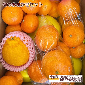 【送料無料】旬のフルーツ食べ比べおまかせセット【Aセット】ぶんたん　果物　詰め合わせ