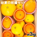 【送料無料】【セール】初夏の柑橘お楽しみ食べ比べセット 約3kg【詰め合わせ】【フルーツ詰め合わせ】【返品交換不可商品】