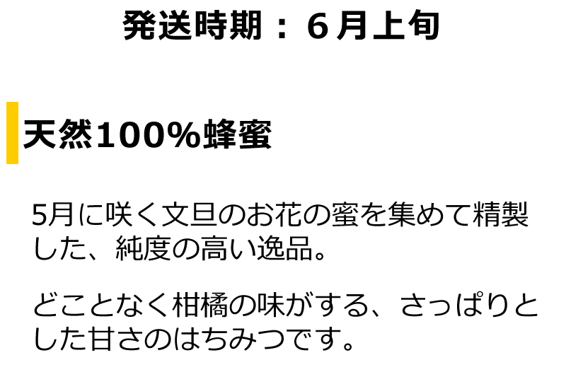 サンプル画像3