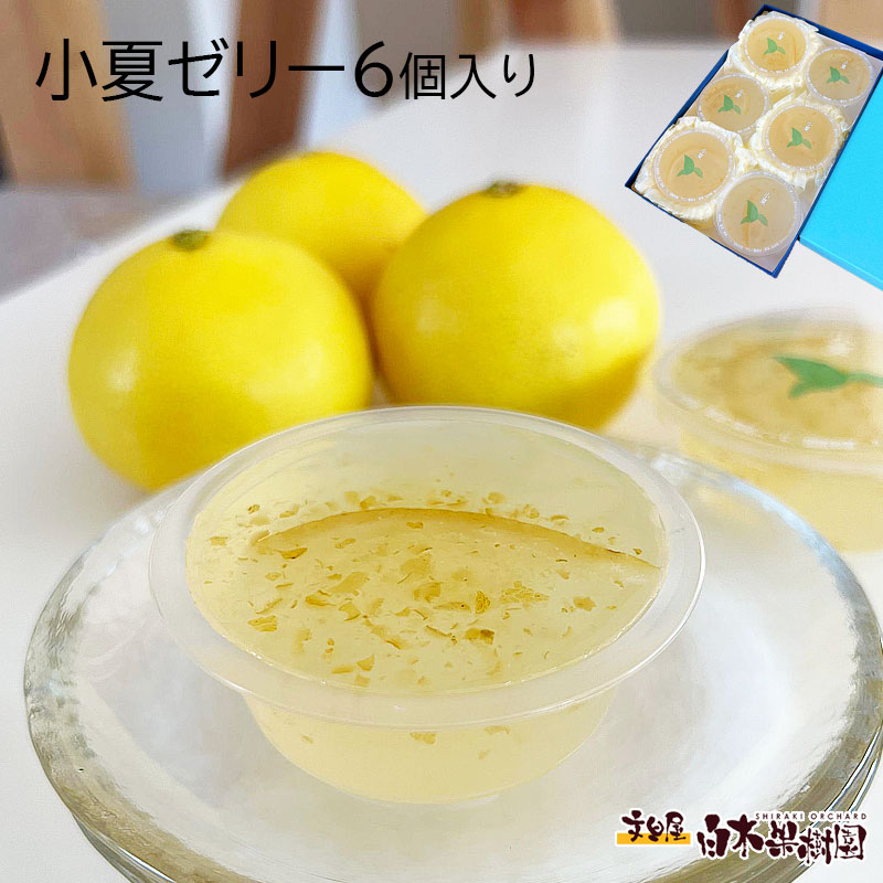 乐天商城 - 【送料無料】【夏ギフト　お中元】小夏ゼリー6個化粧箱入り　【お中元　夏ギフト　お供え　お見舞　お返し　プレゼント　お礼】