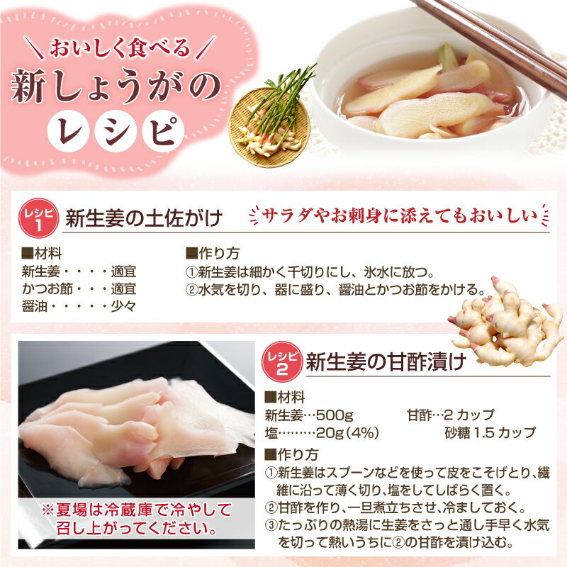 【予約販売】フレッシュ新しょうが8kg(4kg×2箱)・和歌山県産 【送料無料】紀ノ川河口で栽培されている高品質の新生姜を新鮮 産地直送自家製 甘酢漬け、紅ショウガ、生姜湯、砂糖漬けに 3