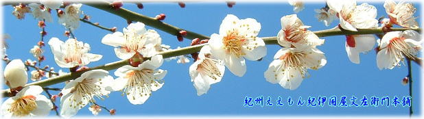 すっぱいしょっぱい田舎梅干し紀州みなべ産 田辺産　1kg（500g×2)【Aランク品】無添加