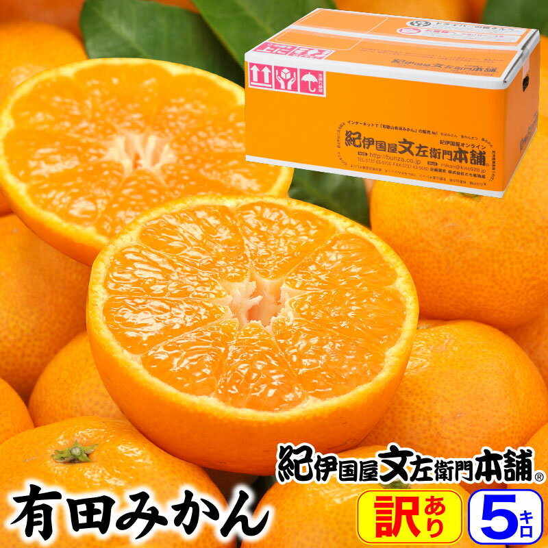 みかん産直★送料無料有田みかん5kg・35〜70個入(お買得サイズ不選別)認定生産者の有田みかん本場紀州から[紀伊国屋文左衛門本舗]温州みかん生産量日本一の和歌山県産　産地直送　わけあり訳ありご家庭用果実