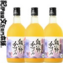 【3本セット】紀州にごり梅酒・熊野かすみ720ml 化粧箱入 紀州南高梅使用 プラム食品 和歌山県【送料無料】