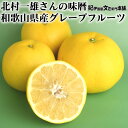 有田産 グレープフルーツ 約5kg紀州 サイズ混合 和歌山県有田産 国産 グレープフルーツ 豊作会