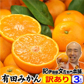 【順次出荷】わけあり 有田みかん 和歌山ミカン 少量 3キロ お試しセール【送料無料】直送 訳あり 有田みかん 3kg ギフト用に成れなかったご家庭用果実 お届け日指定不可 紀伊国屋文左衛門本舗 みかん 和歌山県産 温州みかん 蜜柑