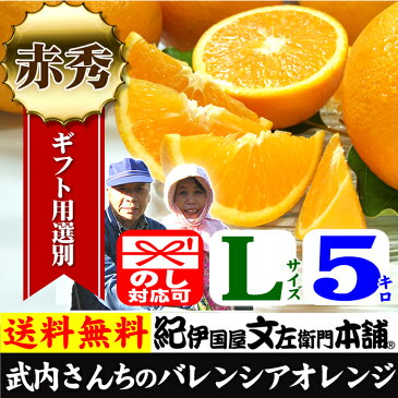 武内さんちのバレンシアオレンジギフト用【秀】選別　Lサイズ5kg【送料無料】有田郡吉備町奥(おき)地区から