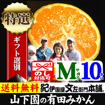 有田みかん【送料無料】特選品ギフト選別果実・山下園の有田みかん 【Mサイズ】 約10kg（100果前後） 【産地直送】和歌山県有田郡広川町・潮風の当たる最適な段々畑で栽培された有田ミカン和歌山みかん・お歳暮・御歳暮・贈答・ギフトに