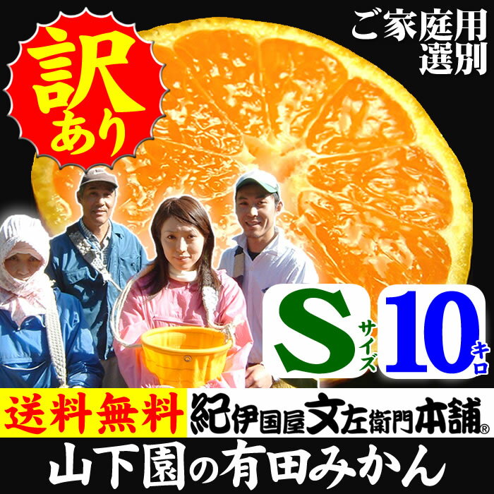 【予約受付】 訳あり選別ご家庭用果実 山下園の有田みかん 【Sサイズ】 約10kg（約120〜130果） 【送料無料】【産地直送】和歌山県有田郡広川町・潮風の当たる最適な段々畑で栽培された有田ミカン和歌山みかん