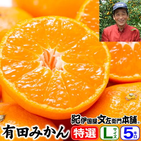 【順次出荷】西崎さんちの有田みかん　約5kg（約45果）　【Lサイズ】　特選ギフト品【送料無料】みかん！本場から産地直送！紀州和歌山 有田みかん・お歳暮・御歳暮・贈答・ギフトに