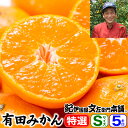 【予約販売】西崎さんちの有田みかん 約5kg(約60~65果) 【Sサイズ】 特選ギフト品【送料無料】本場から産地直送!紀州和歌山みかんの中でもブランド果実「有田みかん」・お歳暮・御歳暮・贈答・ギフトに