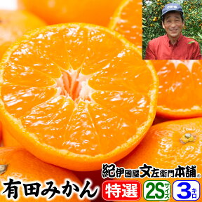 小粒みかん　西崎さんちの有田みかん　約3kg（40〜50果）【小粒　2Sサイズ】　特選ギフト品【送料無料】本場から産地直送！紀州和歌山みかんの中でもブランド果「有田みかん」・お歳暮・御歳暮・贈答・ギフトに