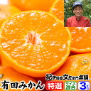 【予約販売】西崎さんちの有田みかん 約3kg 【サイズ混合=約30〜40果】 特選ギフト品【送料無料】本場から産地直送!紀州和歌山みかんの中でもブランド果実「有...