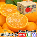 【予約販売】紀州有田「田村みかん」特選ギフト品【Lサイズ】赤秀 10kg自信のお味、抜群の美味しさです。
