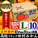 紀州有田「田村みかん」特選ギフト品【Lサイズ】赤秀 10kg自信のお味、抜群の美味しさです。