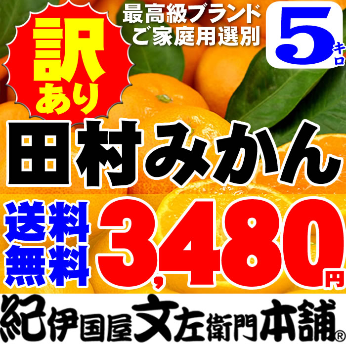 訳あり 田村みかん[5キロ]有田みかんの最高ブランド 田村みかん 約5kg[完熟みかん]和歌山県産「わけありの果実」ご家庭用ミカンの本場紀州／和歌山県有田郡湯浅町田村産　たむらみかん