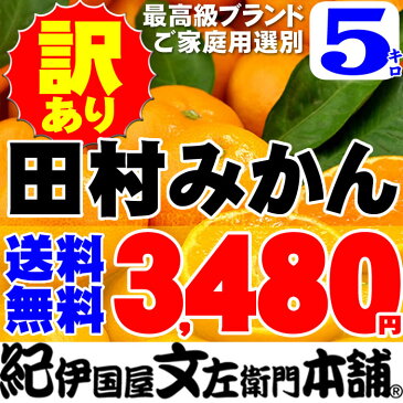 訳あり 田村みかん[5キロ]有田みかんの最高ブランド 田村みかん 約5kg[完熟みかん]和歌山県産「わけありの果実」ご家庭用ミカンの本場紀州／和歌山県有田郡湯浅町田村産　たむらみかん