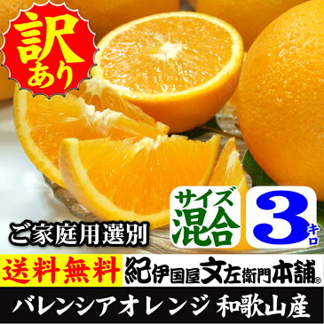 【送料無料】バレンシアオレンジ（買得品3kg）ご家庭用・紀州有田産　わけあり柑橘・訳あり果実を少量お試しセット