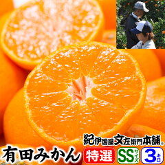 https://thumbnail.image.rakuten.co.jp/@0_mall/bunza/cabinet/item/21431030305a.jpg
