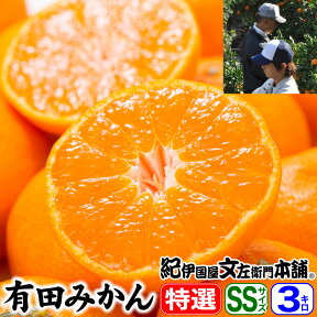 有田みかん【送料無料：特選ギフト】 上友農園・上野山さんちの有田みかん 【SSサイズ】 約3kg[約40〜45果] 　温州蜜柑の生産量日本一の和歌山県　ミカンの名産地、有田地方から産地直送品・お歳暮・お年賀・御歳暮・贈答・ギフトに