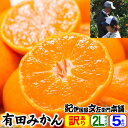 有田みかん【送料無料：ご家庭用わけありB級】 上友農園・上野山さんちの有田みかん 【2Lサイズ】 約 ...