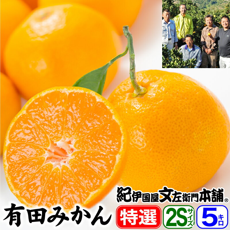【休止中】有田みかん【送料無料：特選ギフト】 ありだ倶楽部[有田倶楽部]の有田みかん 約5kg 【SSサイズ 約70〜75果】 　温州蜜柑の生産量日本一の和歌山県　ミカンの名産地、有田地方から産地直送品