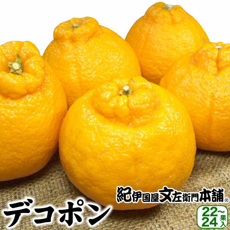 【順次出荷】須一園イチローデコ（デコポン）　大玉・22〜24果入 【送料無料】和歌山県有田郡有田川町産（品種：不知火／春みかん）のサムネイル