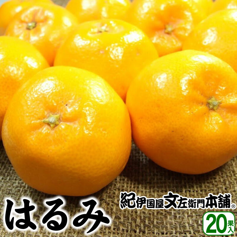 ��ͽ������ۿܺ���������νդߤ���ؤϤ�ߡ١�����̵���ۿܰ�ࡦ��̡�20���� �ߤ�����ܾ� �²λ���ͭ�ķ�ͭ����Į���ʽդߤ���դ��󤭤ġ�