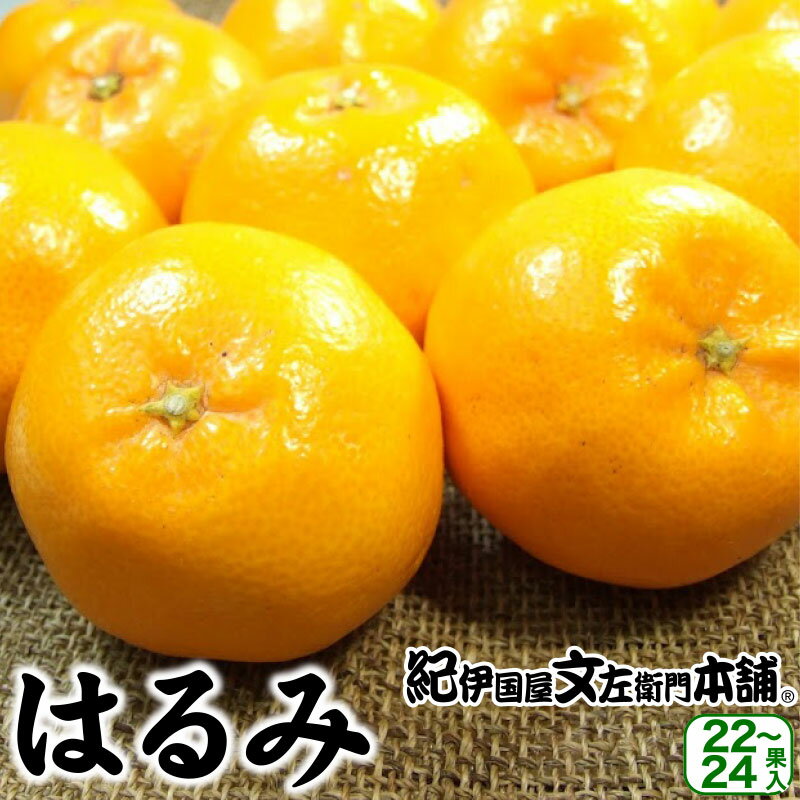 【予約販売】須佐見さんちの春みか