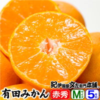 山城農園　有田みかん【Mサイズ】約5kg[約50果]【特選ギフト=赤秀】送料無料 和歌山県有田郡有田川町産・紀伊国屋文左衛門本舗認定の有田みかん 温州みかんの生産量日本一の名産地から産地直送品・お歳暮・贈答・ギフトに(温州みかん)